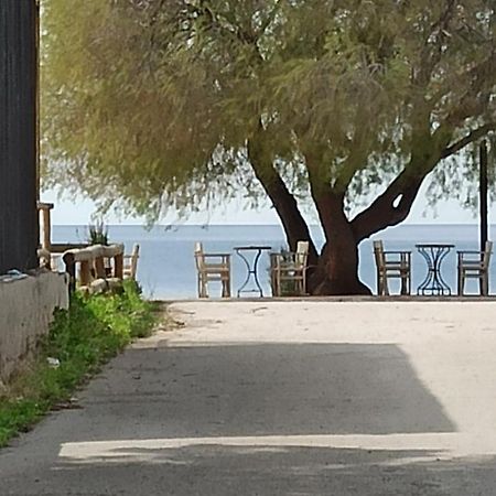 Ψάθα Παραλία Villa ภายนอก รูปภาพ